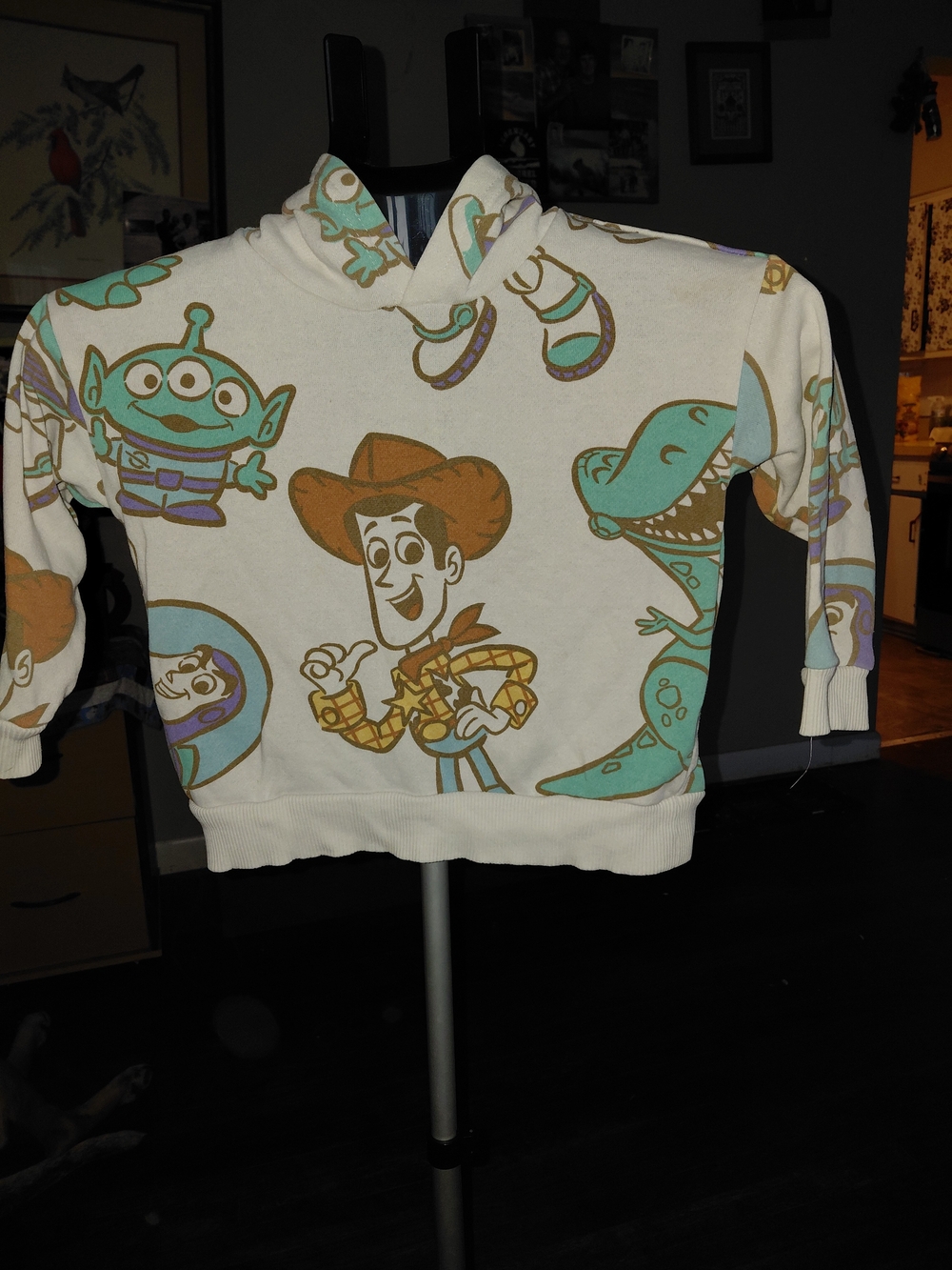 Disney Cream Hoodie with Teal & Brown Toy Story Characters